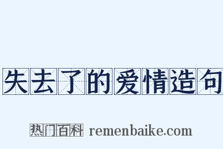 失去了的爱情造句是什么意思的图片
